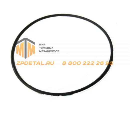 190-200-58-2-2 Кольцо