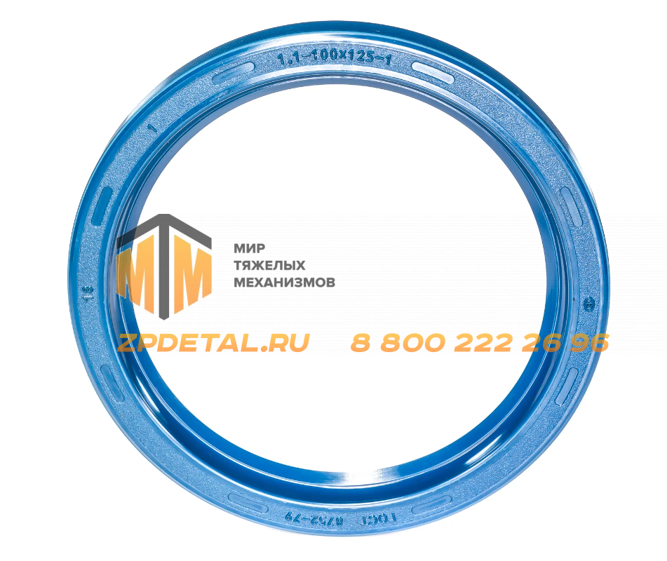 2.2-100Х125-1 Сальник